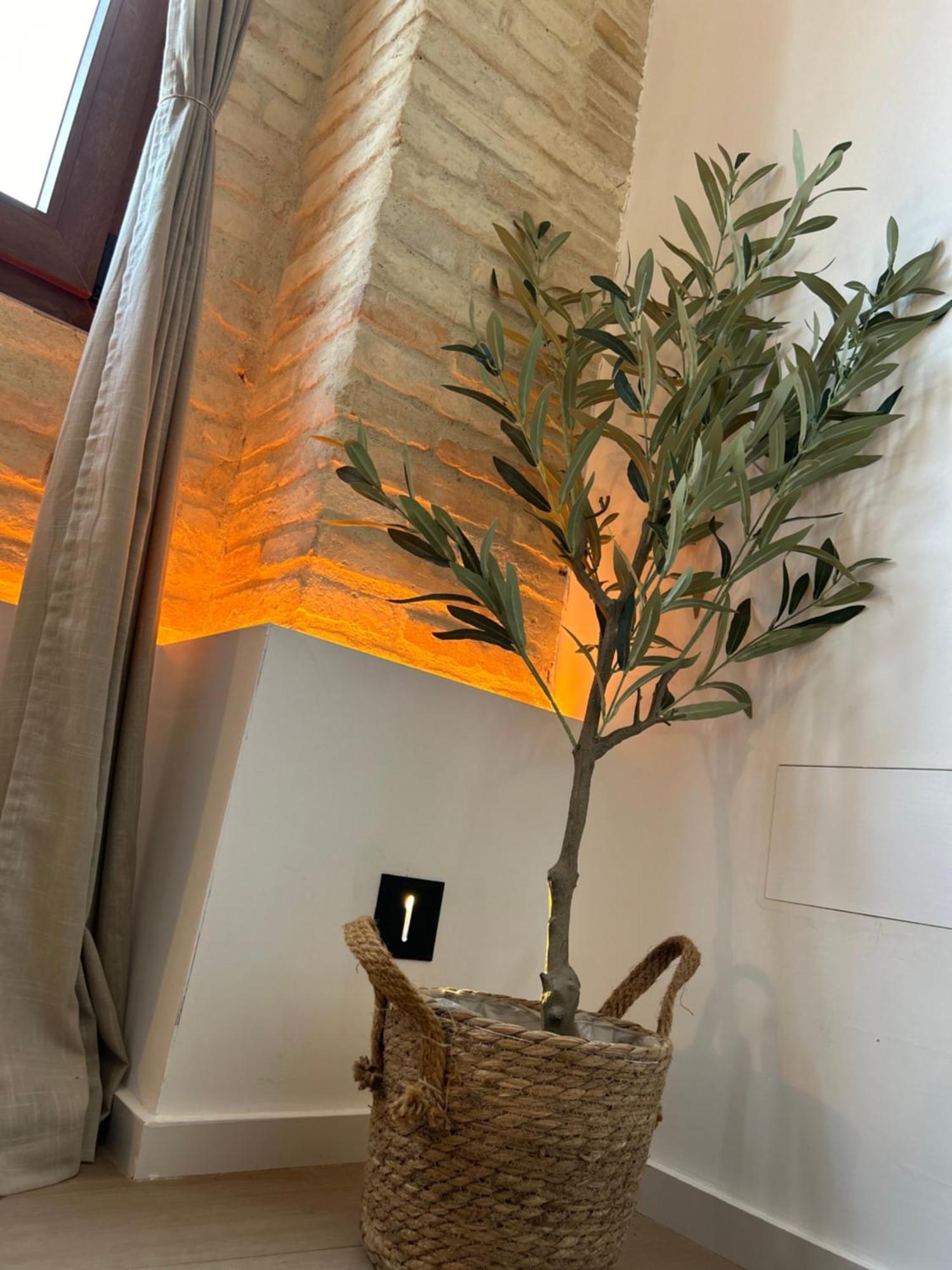 Apartments & Boutique Meraki Онтеньенте Экстерьер фото